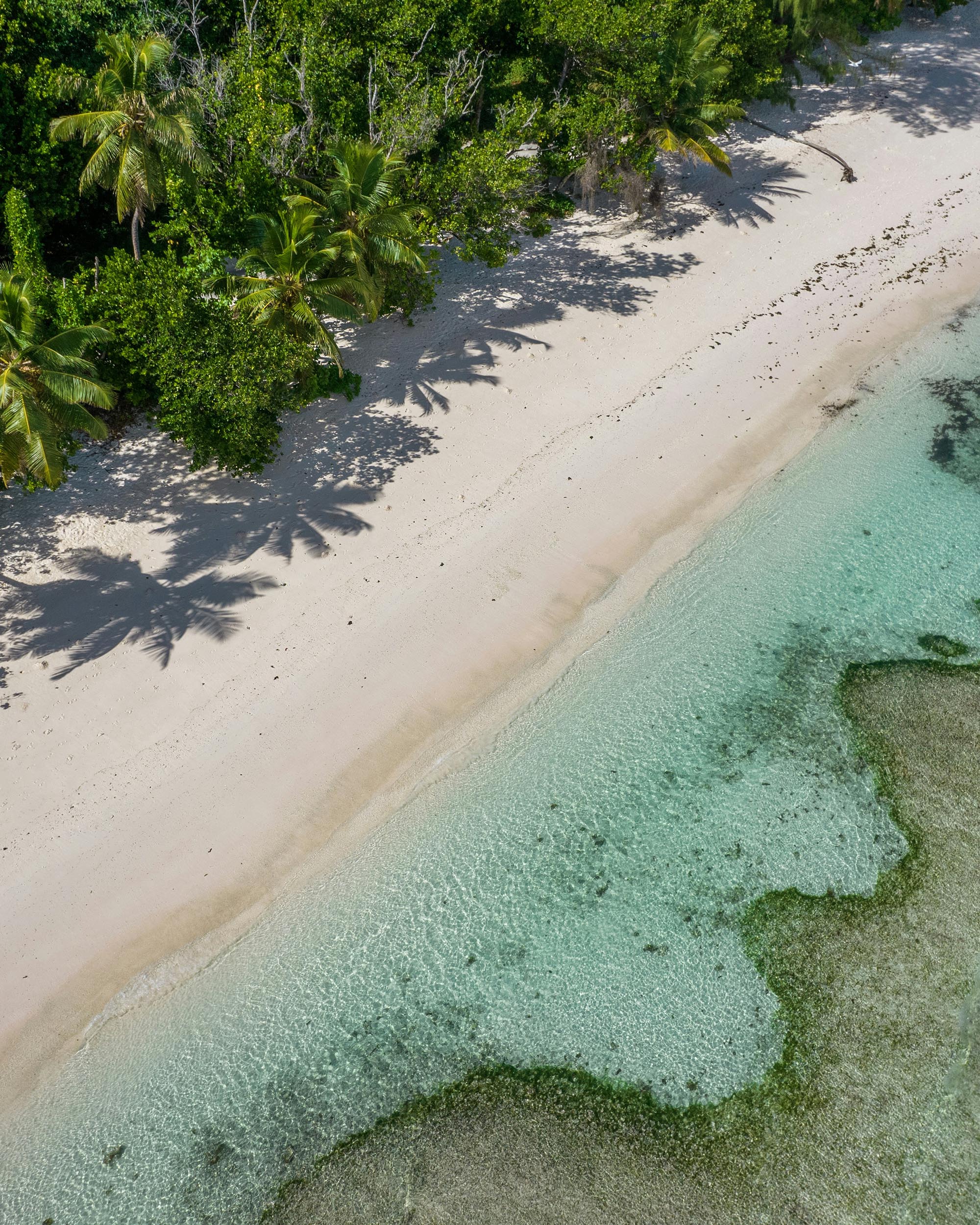 Caribbean yacht Charter