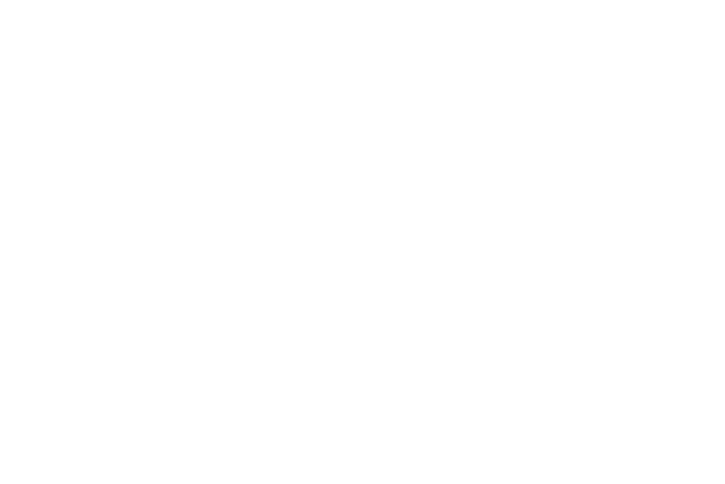 FGI